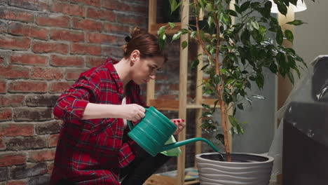 mujer con camisa a cuadros roja agua ficus en maceta en casa