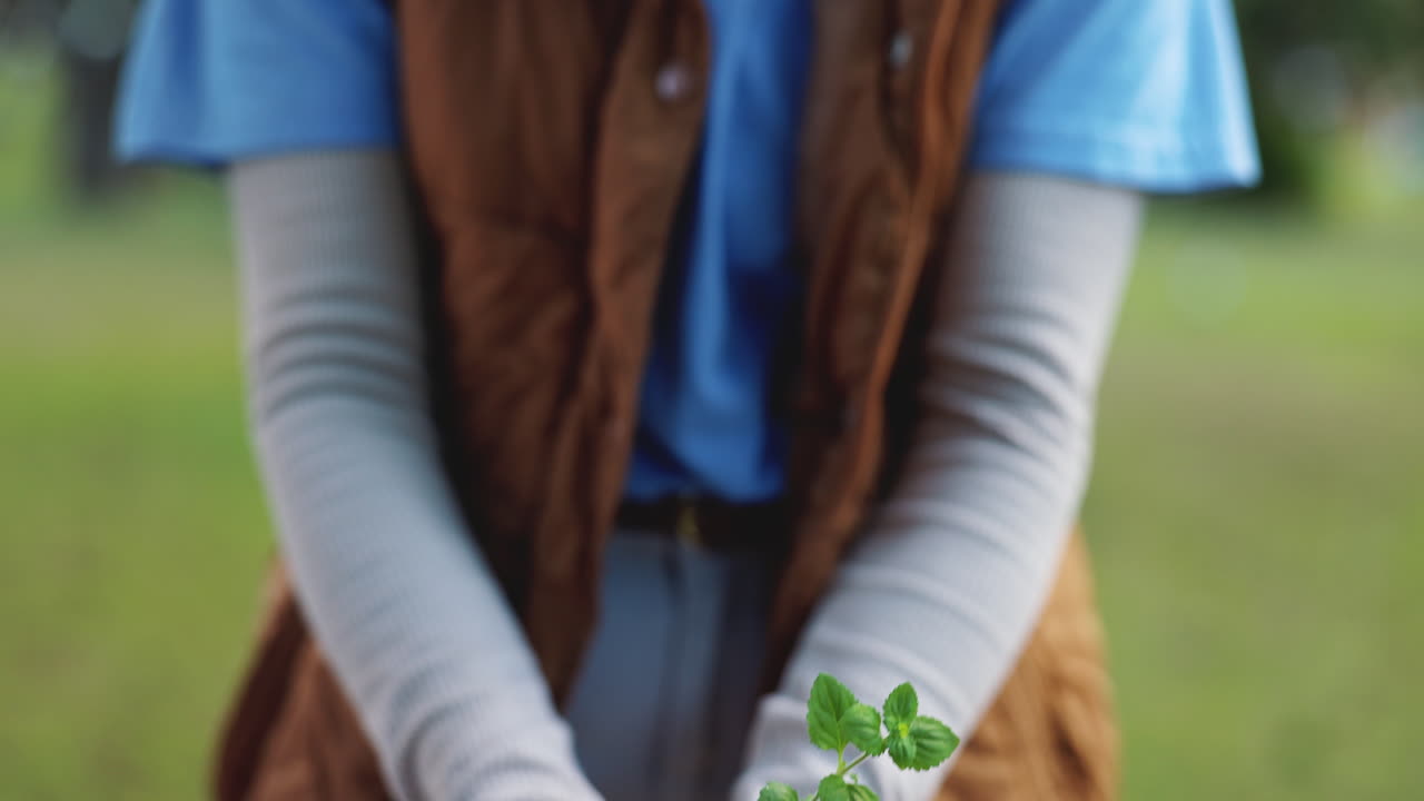 primer plano de las manos de una mujer sosteniendo una plántula verde