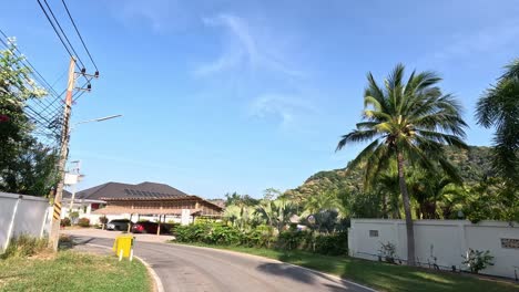 traveling down a lush tropical road