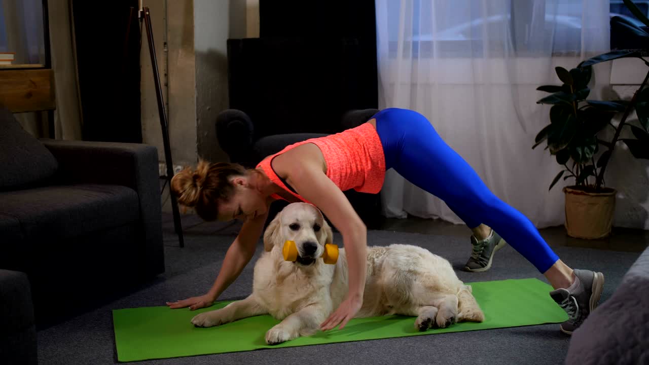Fit sportwoman doing handstand exercise with pet
