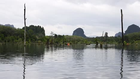 tranquila vía fluvial con exuberante vegetación y montañas