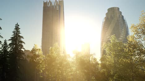 skyscrapes and the forest park at sunrise
