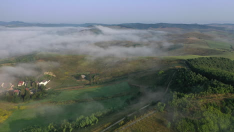 aerial view of foggy forest in autumn morning