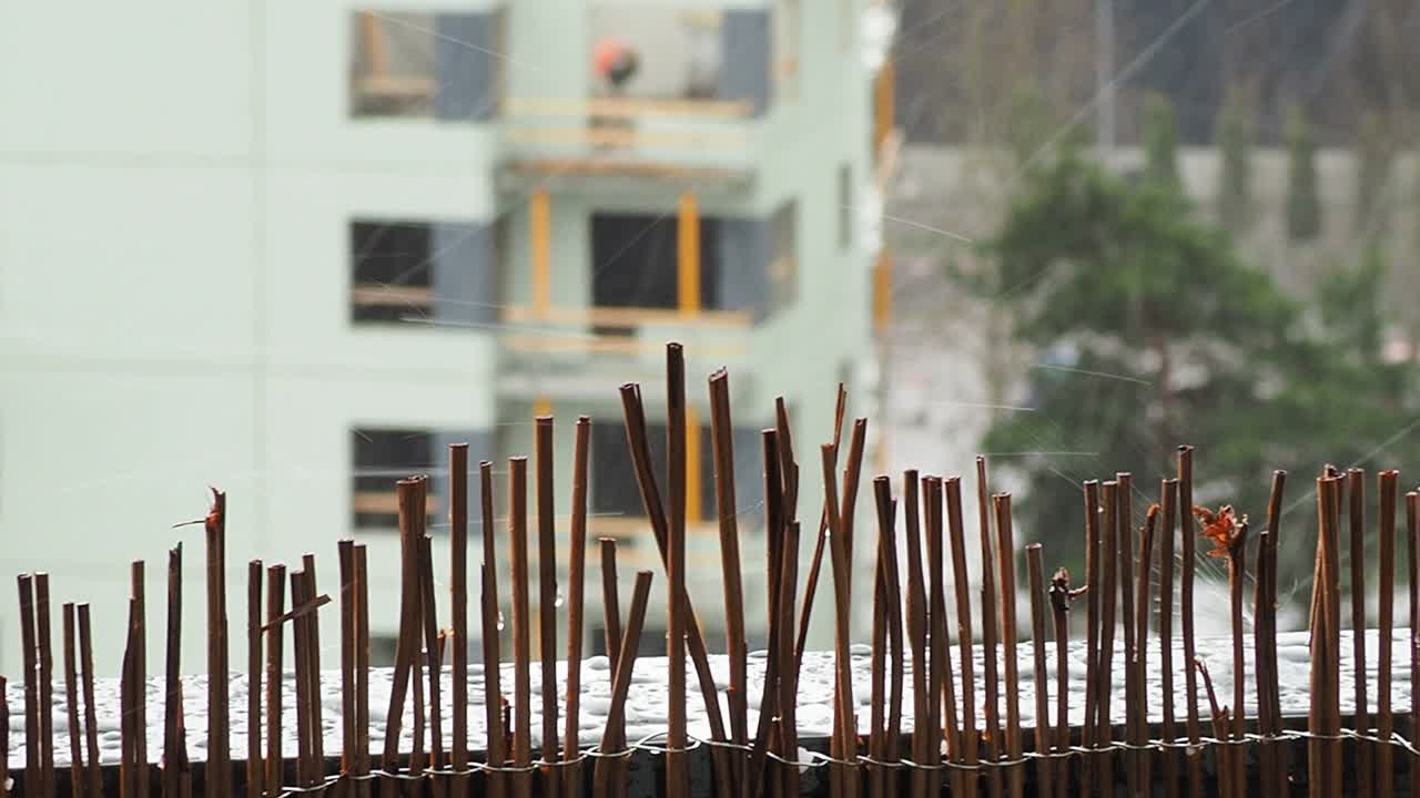 도시에서 비가 오는 날