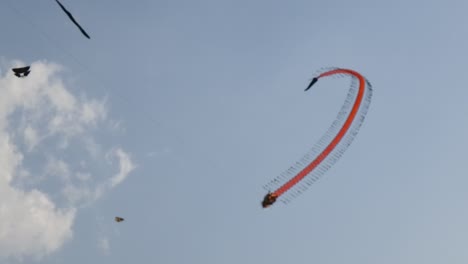 kite competition on the sky