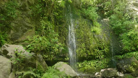 graceful cascade in new zealand, a small yet mesmerizing waterfall