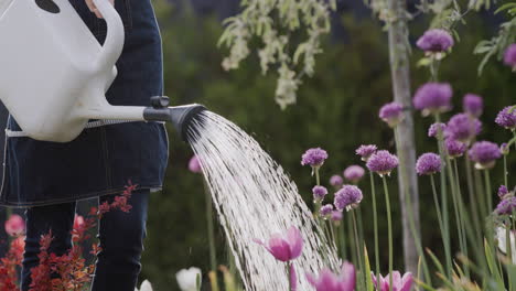 Jardinero-Regando-Flores-En-Su-Jardín,-Hermoso-Jardín-Floreciente