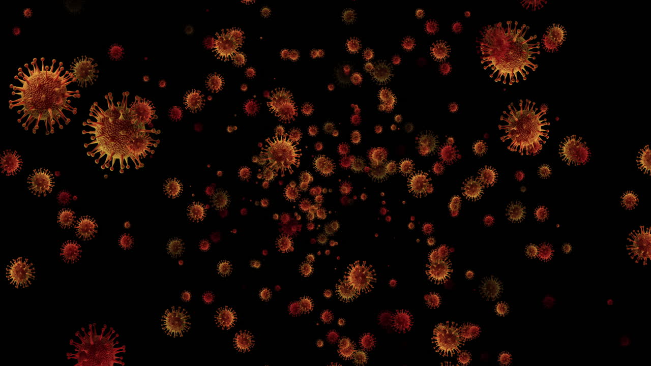 Coronavirus Visualization