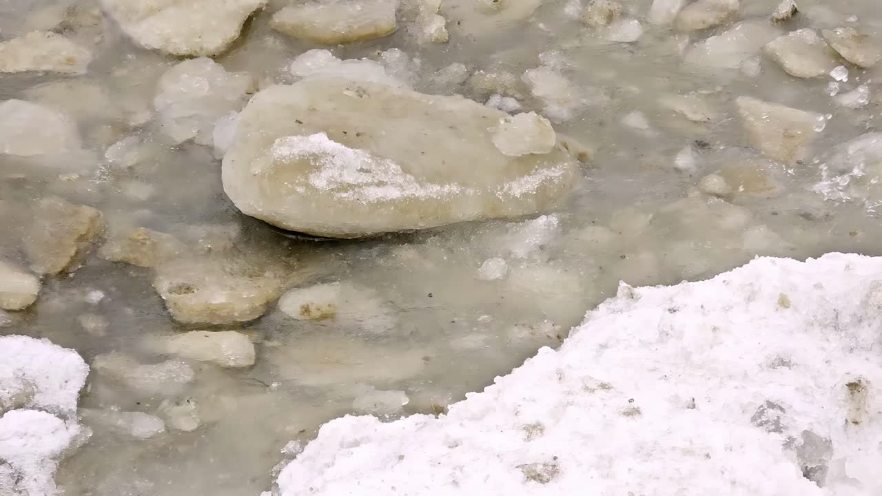 눈의 침대에 앉아 있는 반투명한 얼음 어리 어리의 클로즈업