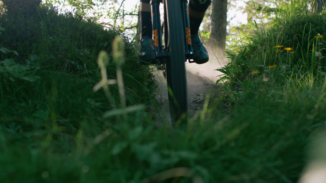 Mountain biker riding a trail in a forest