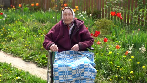 old woman sitting in a wheelchair looking sad and worried. depression, healthcare and caring for the elderly