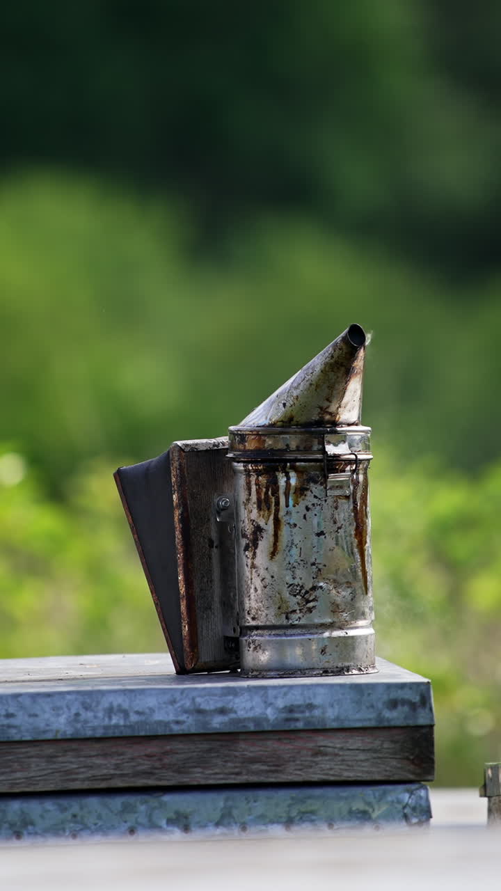 Old metal smoker with smoke coming from it stands on the hive. Instruments for apiculture. Green nature in blur at backdrop. Vertical video