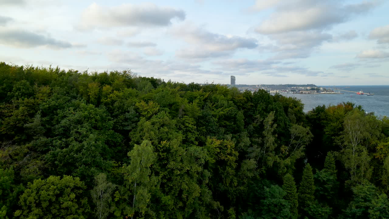 Impresionante toma aérea con dron volando sobre las copas de los árboles, revelando Redlowska, Gdynia, Polonia