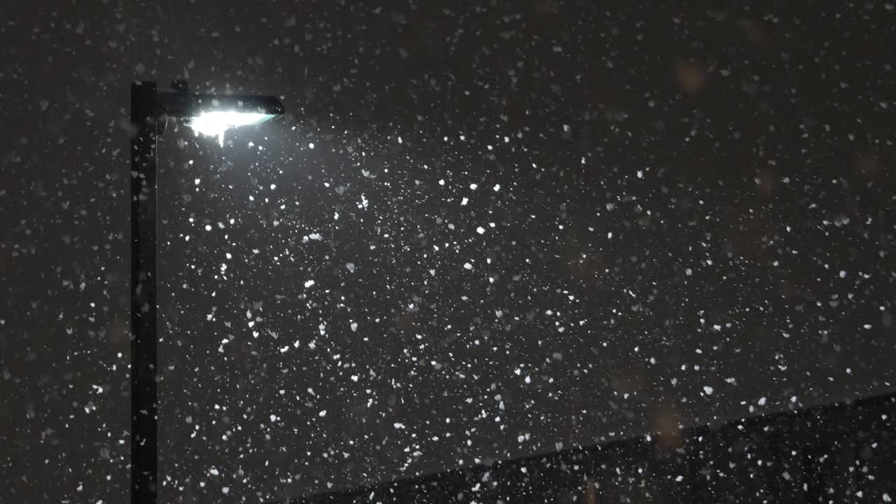 Grandes copos de nieve cayendo rápidamente durante una ventisca cerca de una farola.