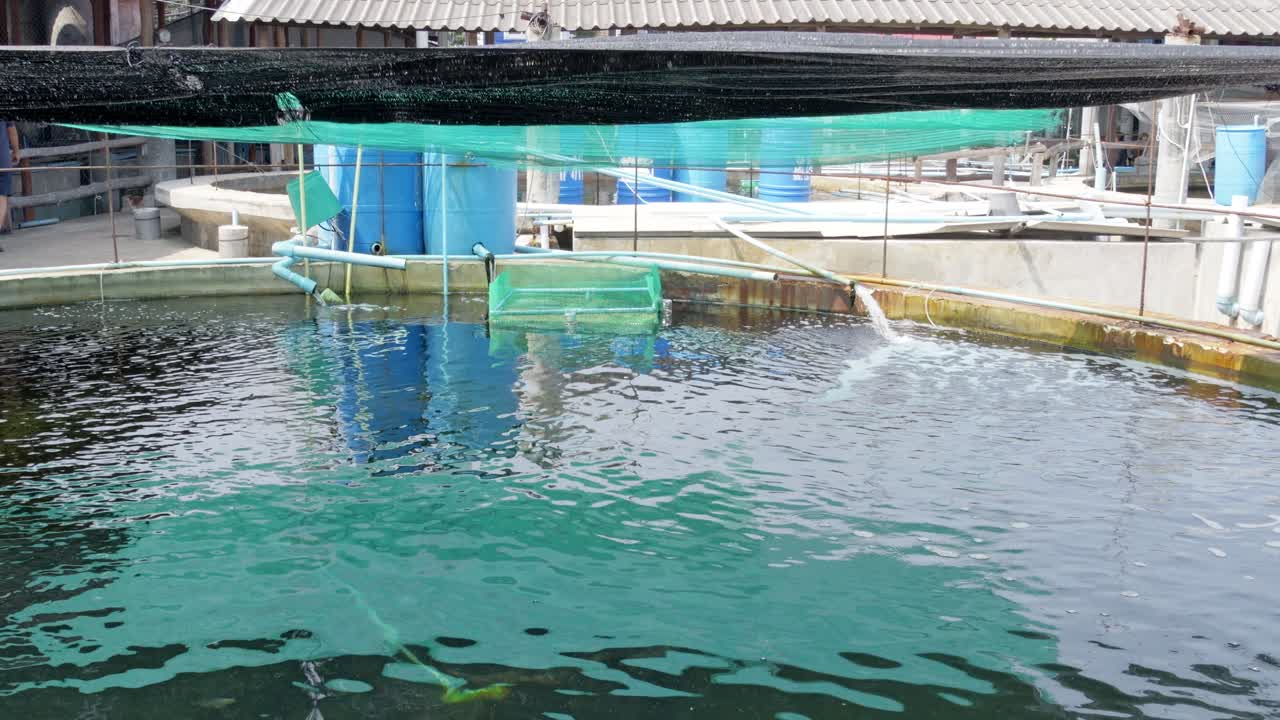Aquaculture innovation coastal facilities sustainable fish farming practices and environment