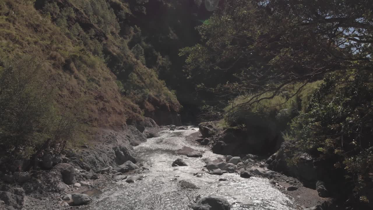 River flowing under large tree in remote tropical province of benguet philippines