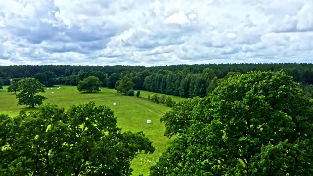 Flying Close to Tree Tops on Clearing in Forest, Agricultural Meadow in Saaremaa Estonia - Dolly Shot