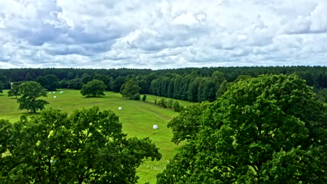 flying close to tree tops on clearing in forest, agricultural meadow in saaremaa estonia - dolly shot