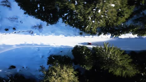 a-man-tobogganing-down-a-slope-in-the-forest