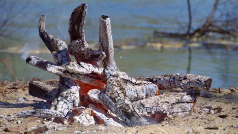 bonfire burning on the river bank, bright sunny day, beautiful nature, travel, hiking and camping concept