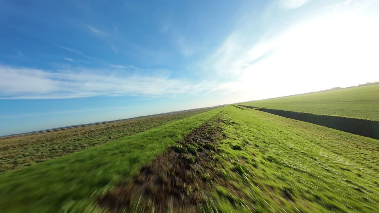 Volo basso cinematografico di drone FPV su zone umide di un verde vibrante e argini in una luminosa e soleggiata giornata di primavera nelle paludi del Lincolnshire, Regno Unito.