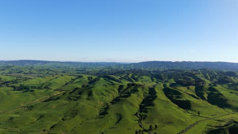 Waikato-Region-in-the-North-Island-of-New-Zealand-offers-a-picturesque-rural-landscape