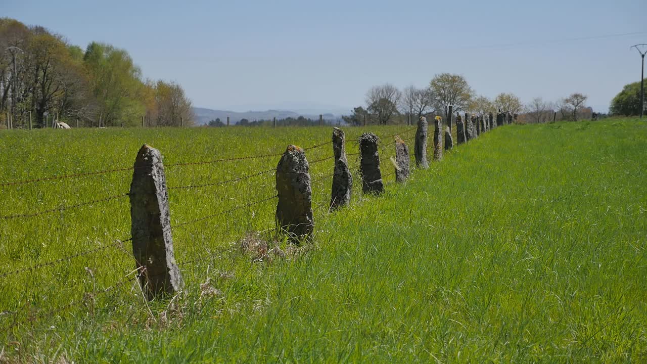 valla de piedra con alambre de púas en un campo de hierba verde, prado de hierba