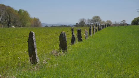 Valla-De-Piedra-Con-Alambre-De-Púas-En-Un-Campo-De-Hierba-Verde,-Prado-De-Hierba