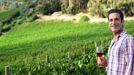 hombre guapo bebiendo un vino tinto