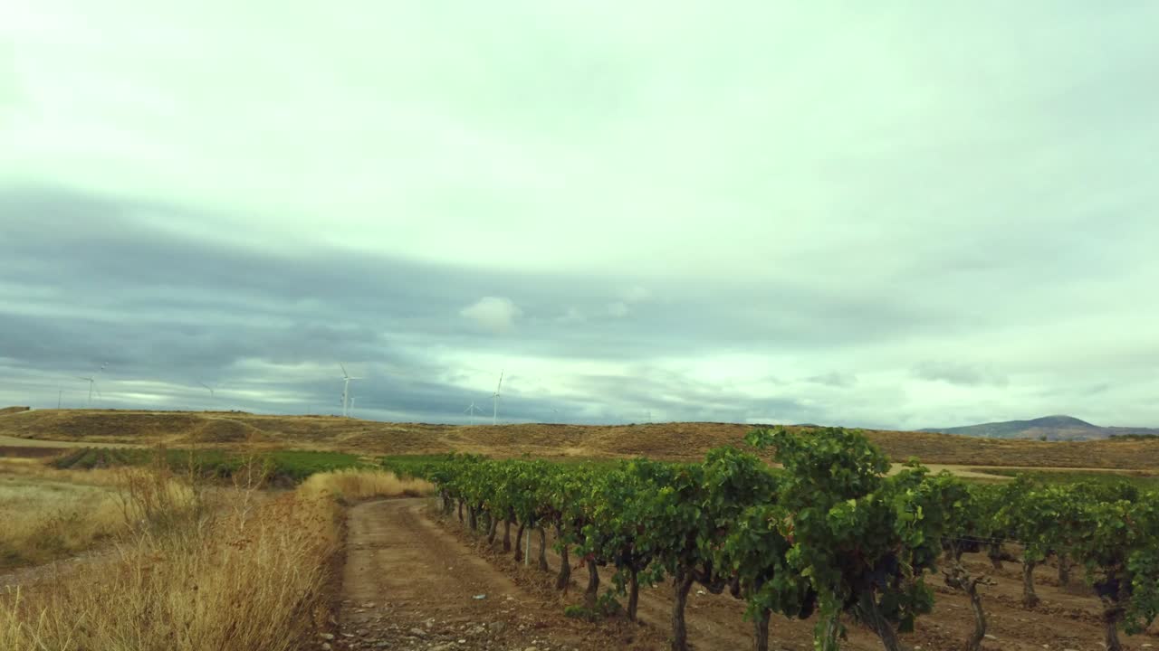 Stormy clouds in the evening over a vineyard in Spain