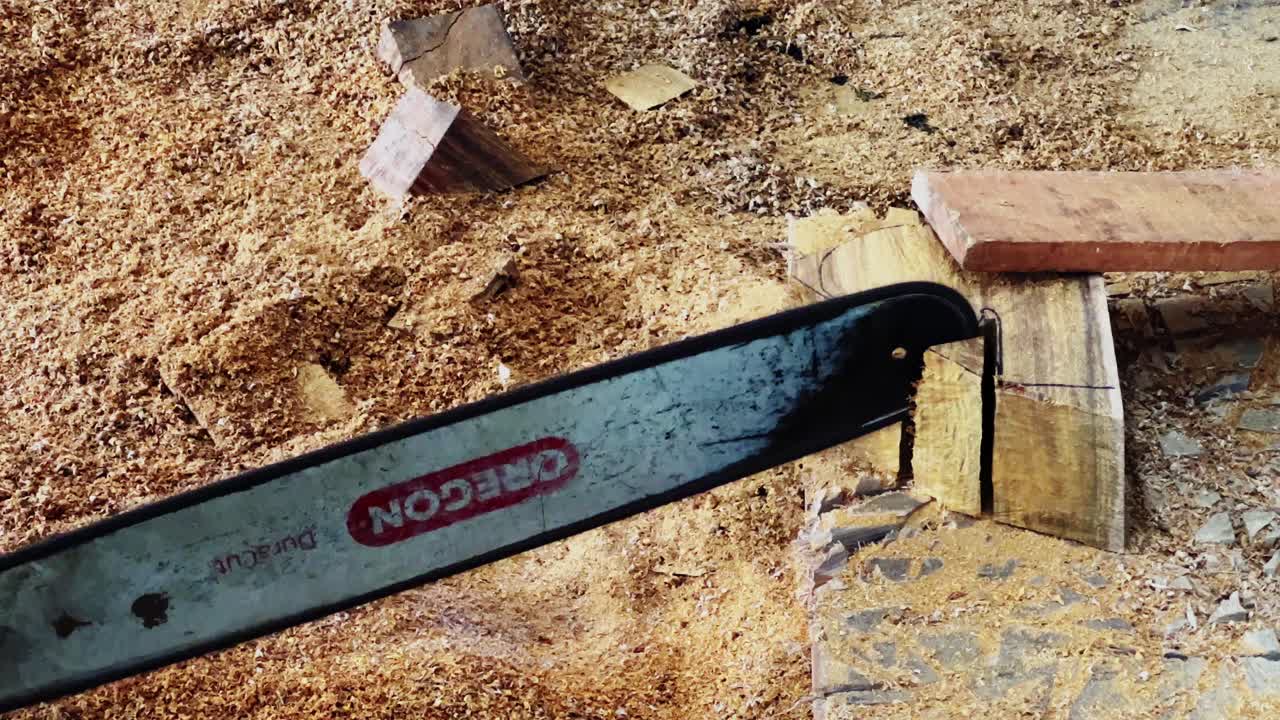 The detailed cutting of wood with saw blade