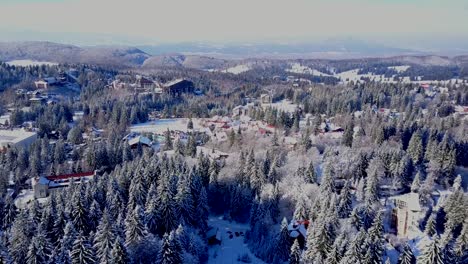 flying above the snowy forest looking toward the city of brasov