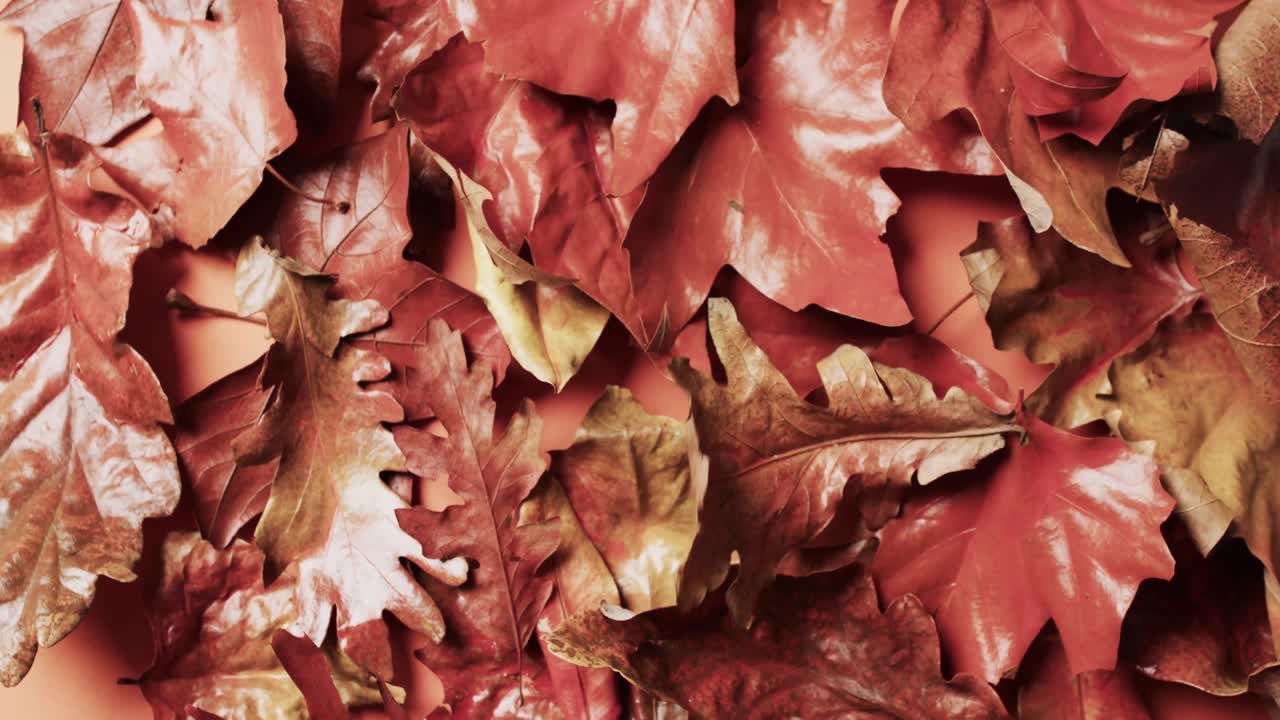 video de las hojas de otoño de halloween con fondo de espacio de copia