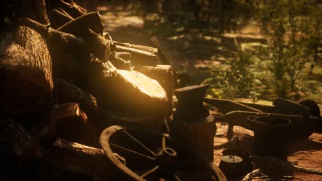 preparation of firewood for the winter in forest at sunset