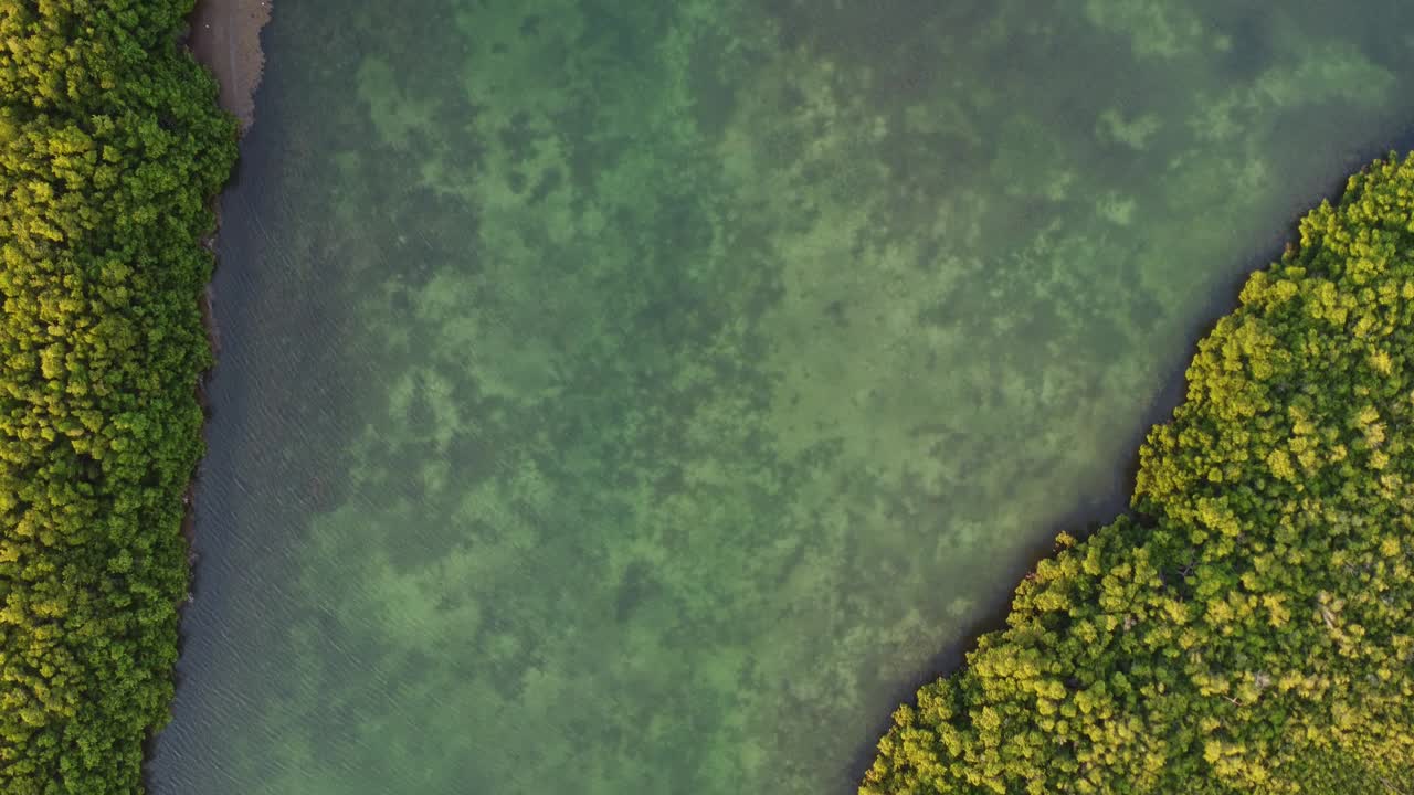 una vista aérea de la naturaleza cerca del puente de punta nizuco en cancún, méxico