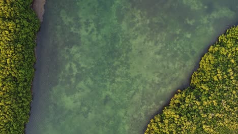 Bird-eye-aerial-of-nature-in-near-of-Punta-Nizuc-bridge-in-Cancun-Mexico