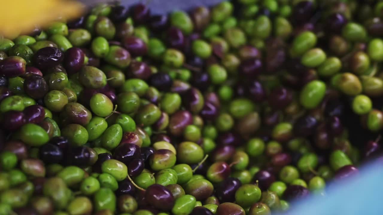 Oliven bevæger sig sammen under rengørings- og sorteringsprocessen