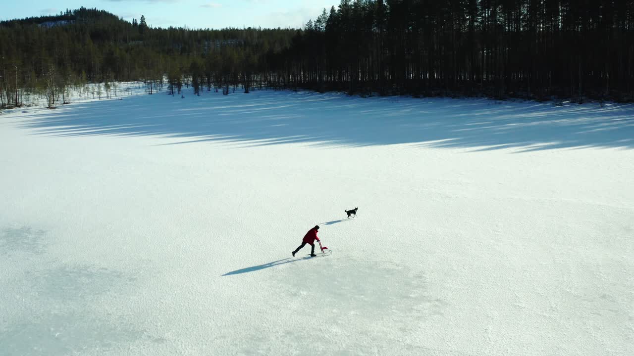 persona con chaqueta roja se congela detrás de una silla mientras el perro corre sobre un lago congelado con largas sombras del bosque de agujas en finlandia en un día soleado