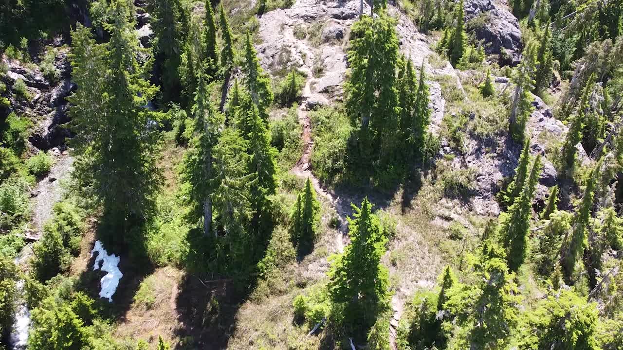vista aérea de una ruta de senderismo en el monte 5040, isla de vancouver, canadá