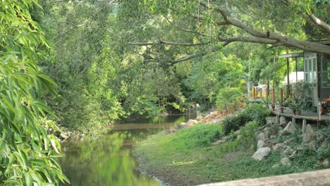 green forest woodland with river during the day in thailand