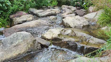 Corriente-De-Agua-Fluye-Entre-Bosques-Verdes,-Día-De-Primavera-En-Cámara-Lenta