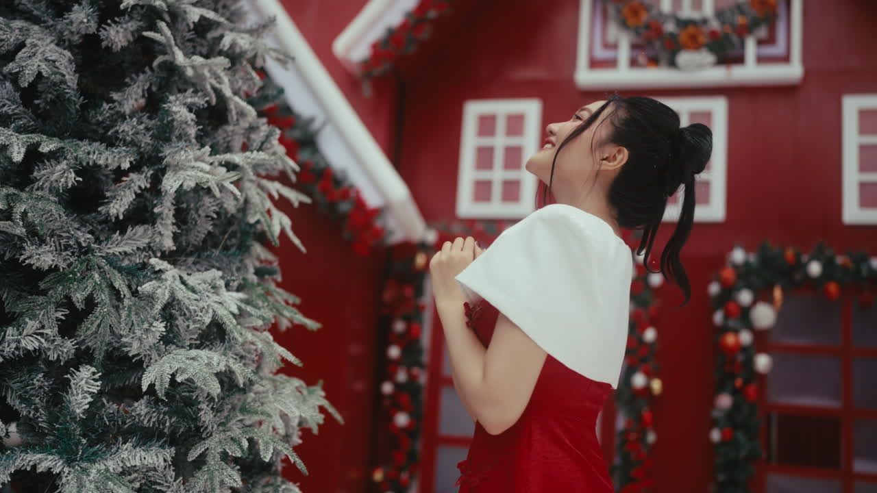 Woman in Red Dress near Christmas Tree and House