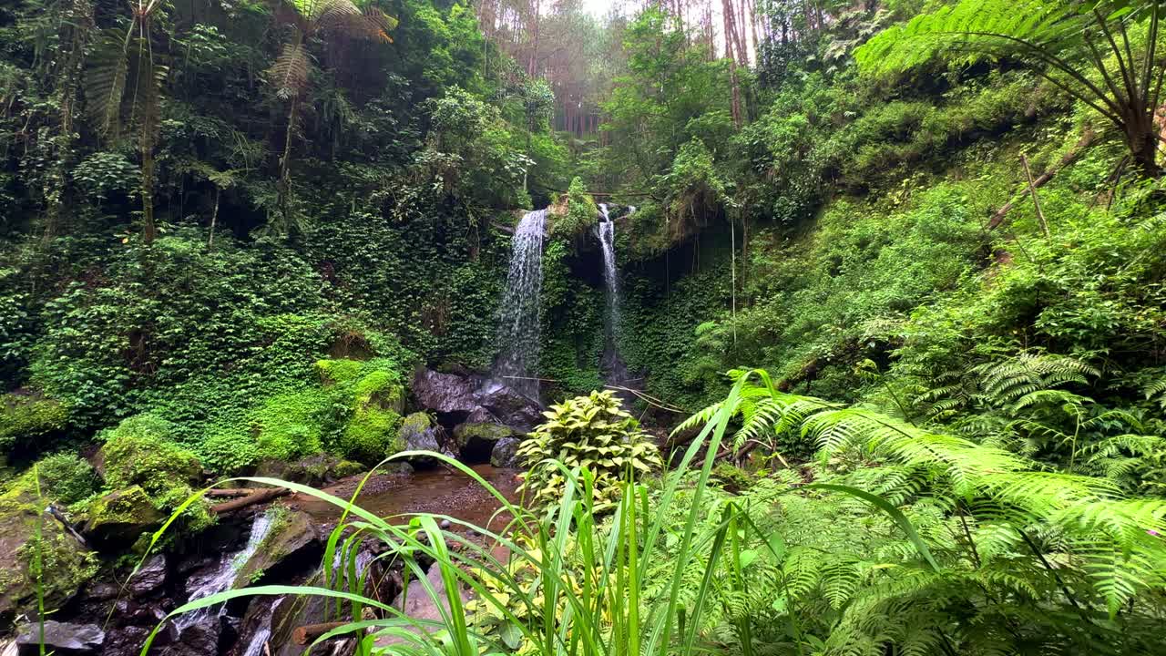 hermosas cascadas gemelas con agua clara en medio de la selva tropical