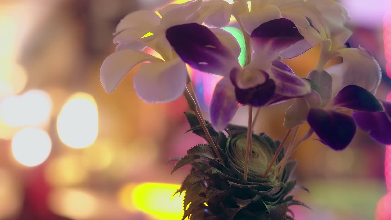 decoração com abacaxi e orquídeas contra luzes de néon