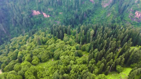 Toma-Aérea-De-Panorámica-E-Inclinación-Al-Mismo-Tiempo-Que-Da-Un-Hermoso-Efecto-Al-Clip