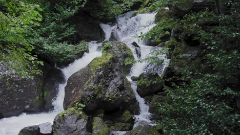 mountain river flowing through forest