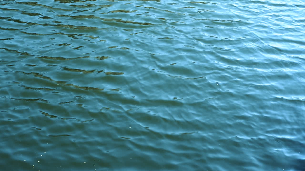 Hermosas y tranquilas aguas azules fluyendo en una textura de fondo de bucle sin fin de mar o río