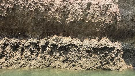 sequential erosion of a limestone cliff face