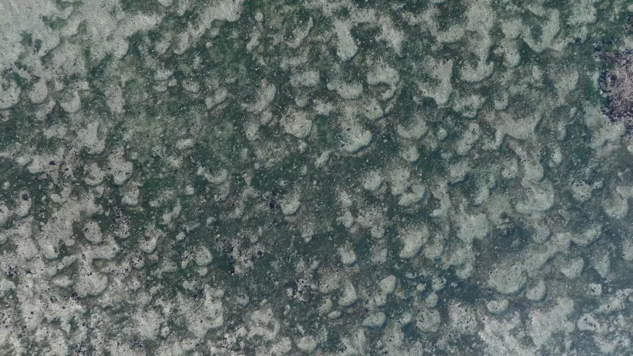 drone de arriba hacia abajo descendiendo por encima del patrón de arrecife de coral verde en uluwatu bali indonesia
