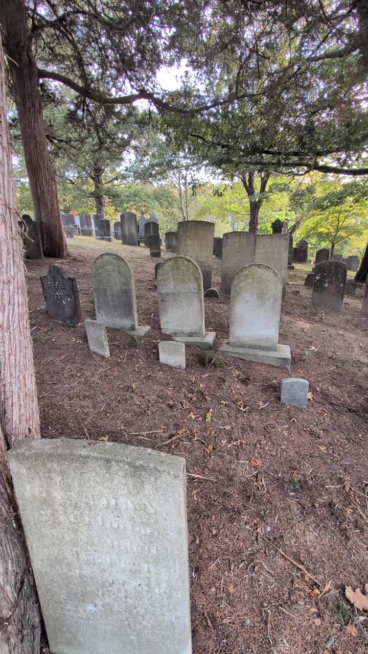 Filmato verticale di un antico cimitero americano con lapidi erose sotto alberi maestosi, che crea un'atmosfera tranquilla e senza tempo, riflesso della storia antica e del ricordo
